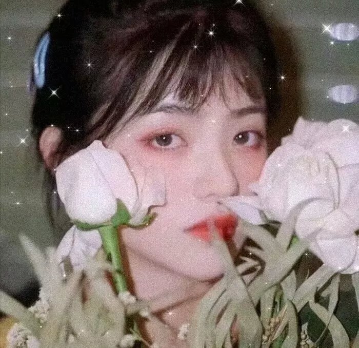 了不起的小家伙们
